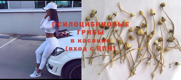 соль ск Абдулино