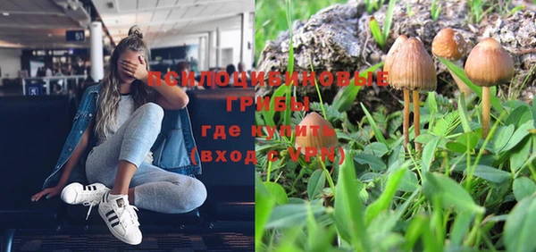 кокс Алзамай