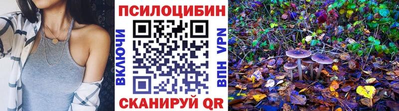 Псилоцибиновые грибы GOLDEN TEACHER  хочу   Новокубанск 