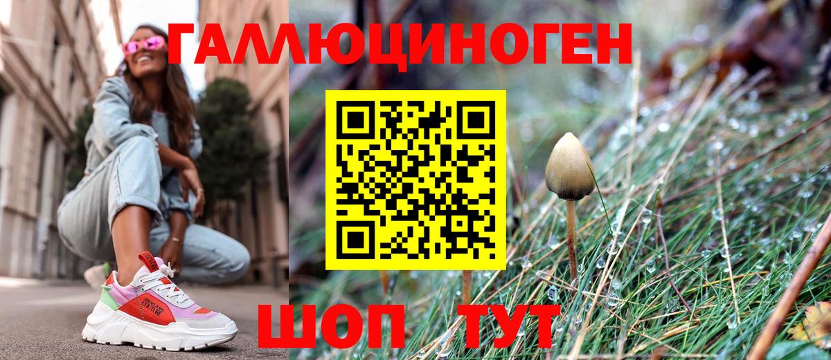 Новокубанск  Псилоцибиновые грибы мухоморы  Вход с VPN  Галлюциногенные грибы ЛСД 