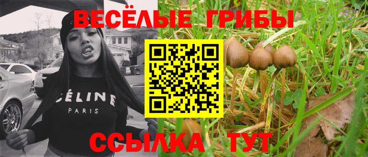 Галлюциногенные грибы прущие грибы Новокубанск