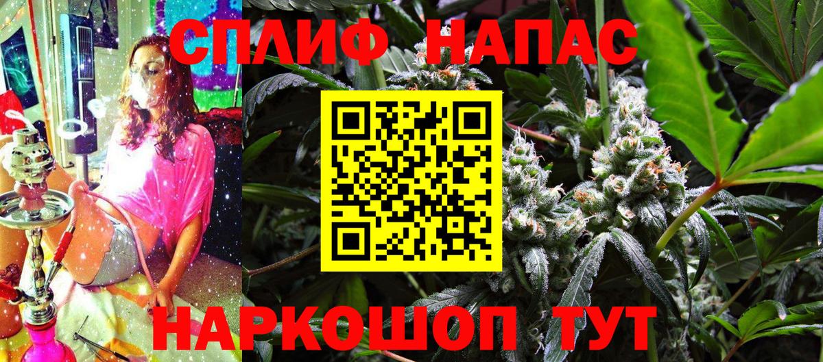 Марихуана Bruce Banner  Вход с VPN  Канабис тримм  Канабис White Widow  Бошки Шишки планчик  Новокубанск 